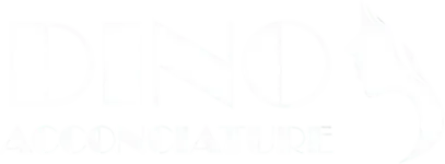 Dino Acconciature